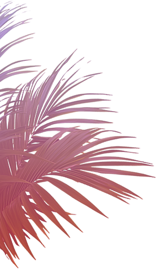 fleur section day by day